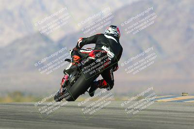 media/Jan-13-2024-SoCal Trackdays (Sat) [[9c032fe5aa]]/Turn 9 Backside (110pm)/